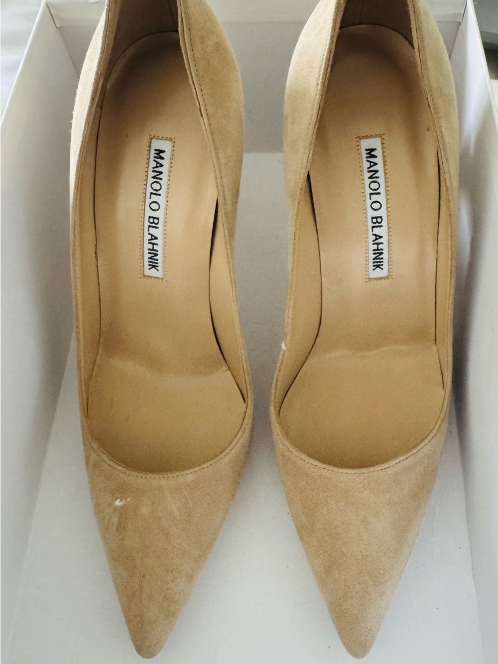 Manolo Blahnik Beige Suede Pointed-Toe Pumps
